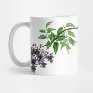 July 25th birthday flower Mug